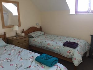 Ash Cottage Twin Bedroom